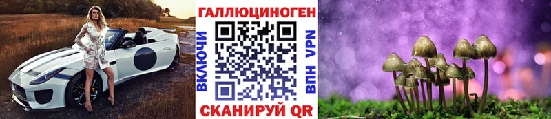 Купить закладки  Екатеринбург  Псилоцибиновые грибы Psilocybine cubensis 